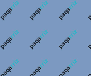 We Repair Everything